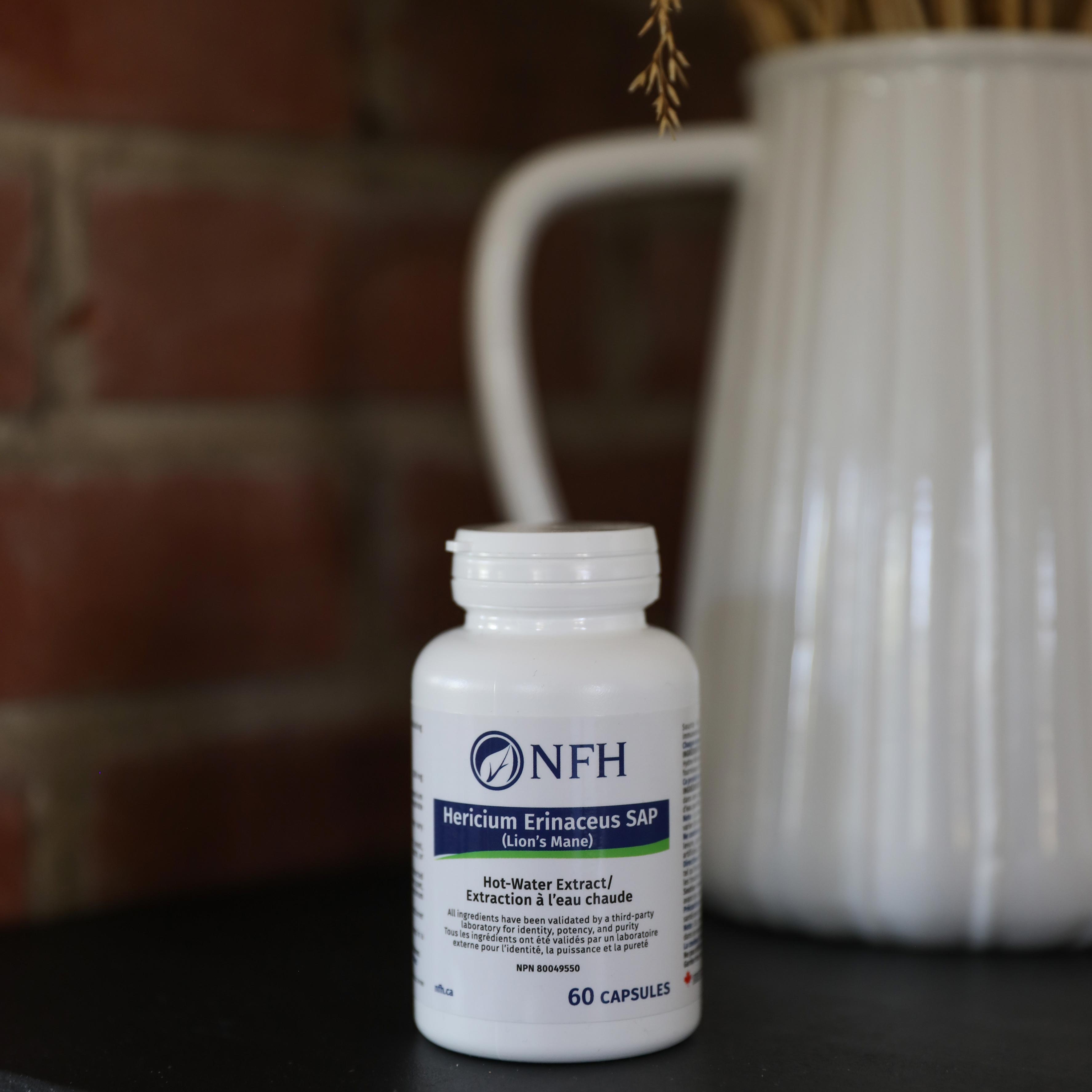 Lion’s Mane (Hericium Erinaceus)