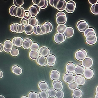 Live blood cell analysis: what it is and how it helps improve our sleep