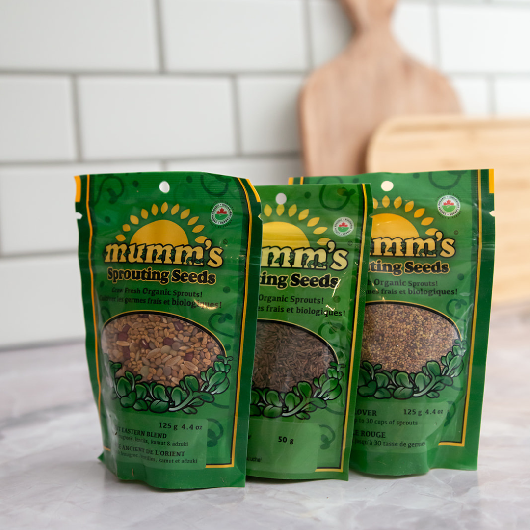 Growing fresh, nutritious food at home year round - Sprouts!