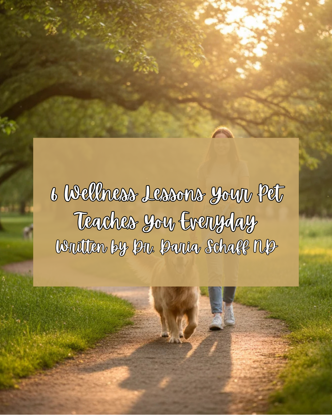 The 6 Wellness Lessons Your Pet Teaches Everyday