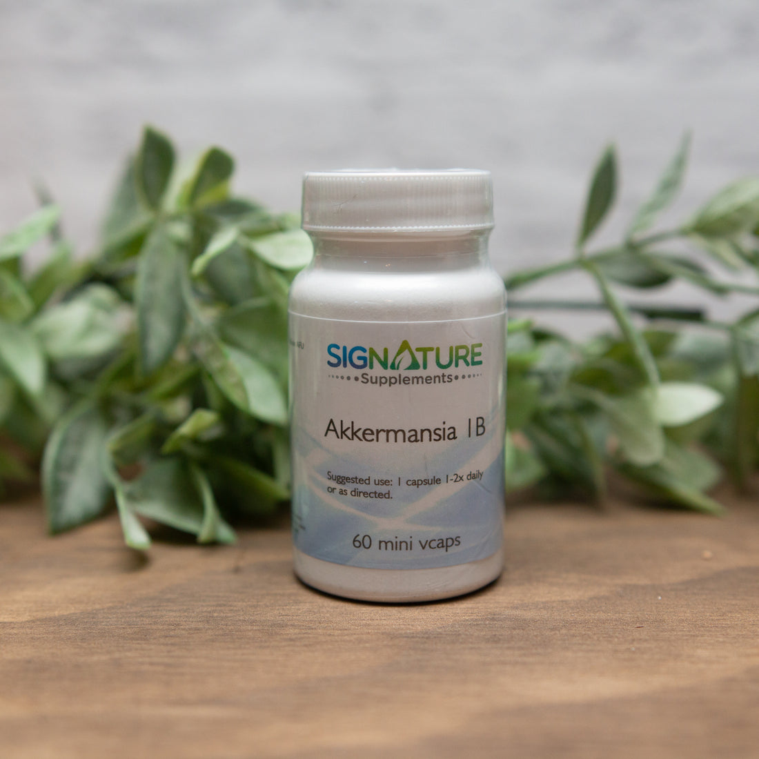 Akkermansia 1 B 60 Minivcaps