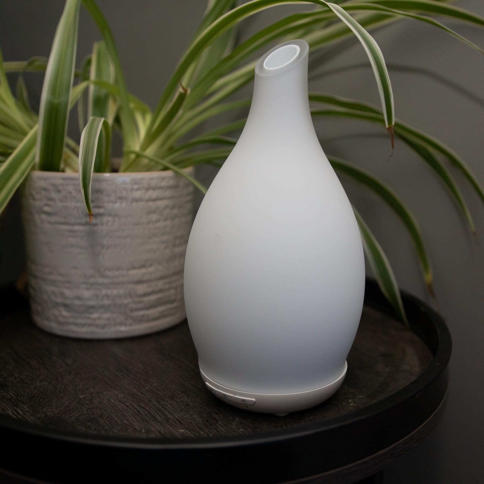 Greta Essential Oil Diffuser