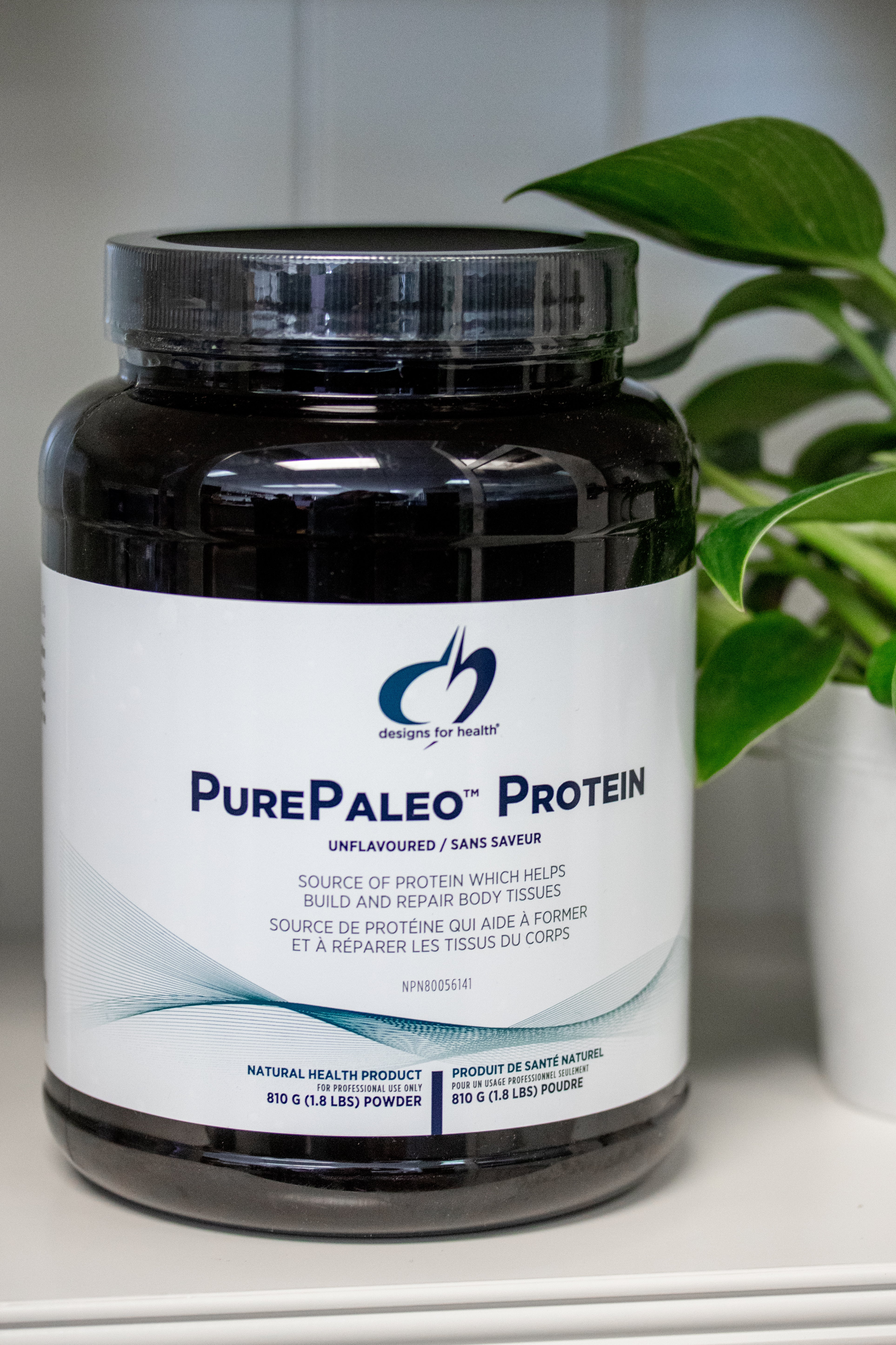 Unflavoured Paleo Protein