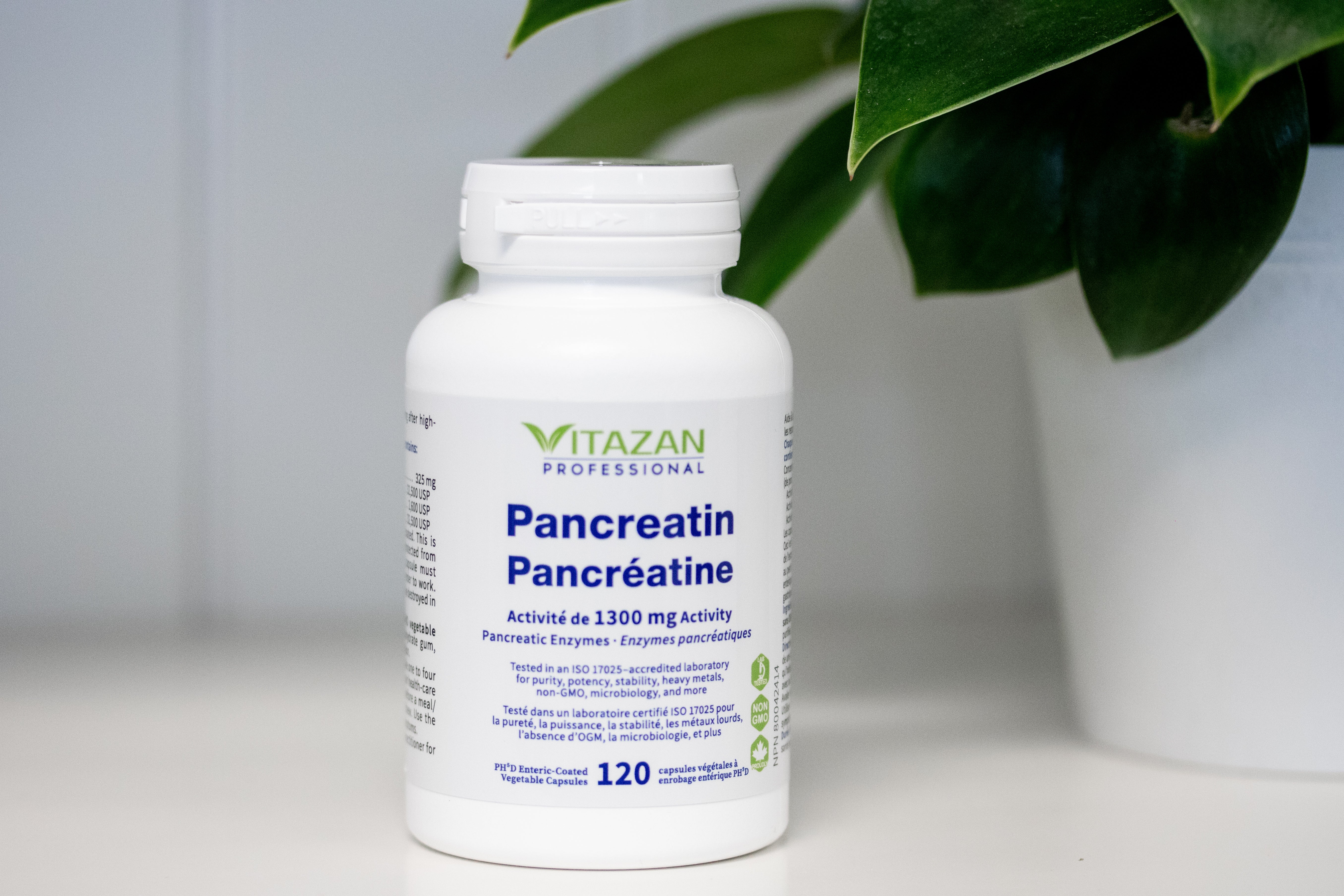 Pancreatin