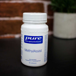 MethylAssist