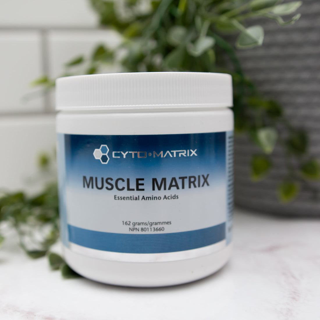 Muscle Matrix