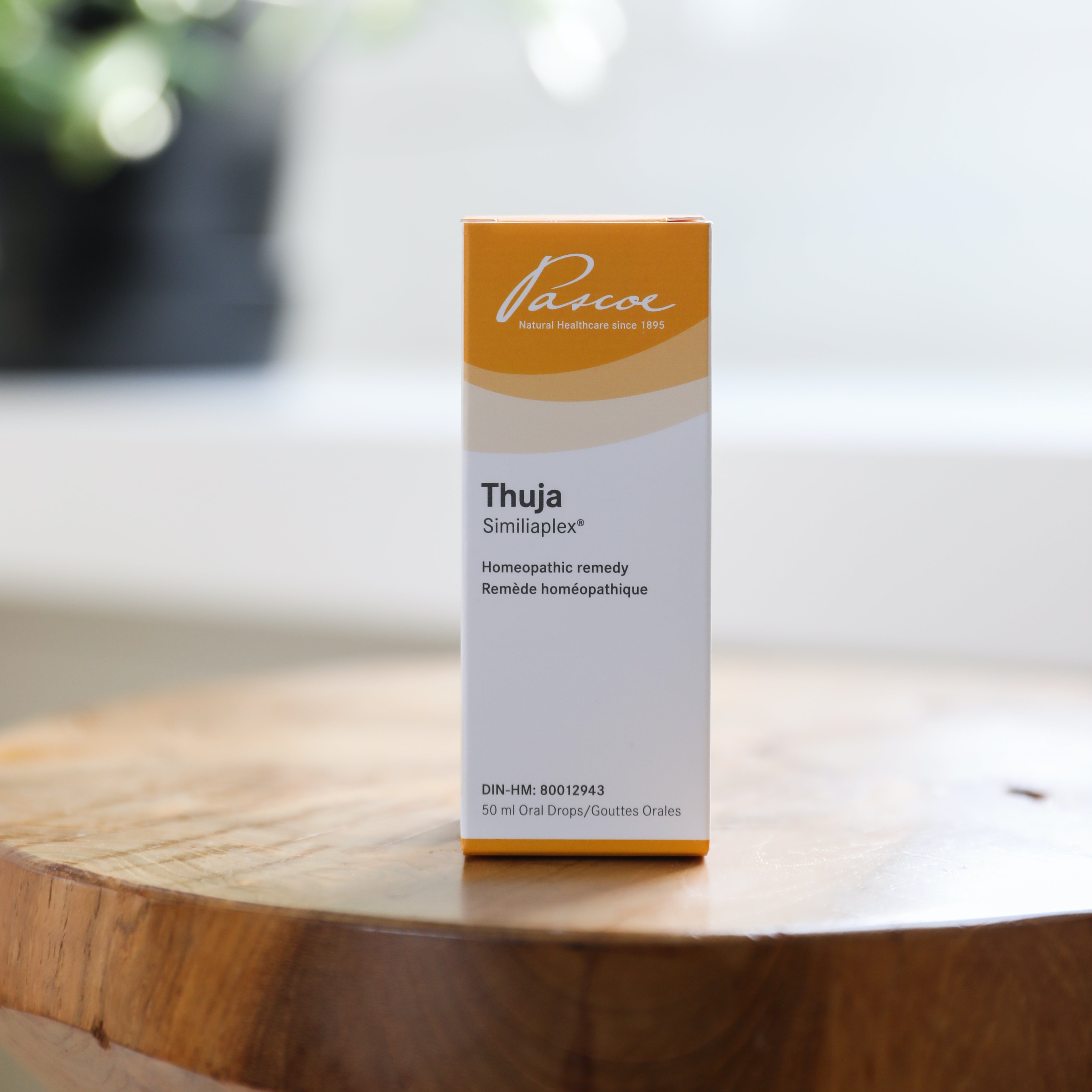 Thuja