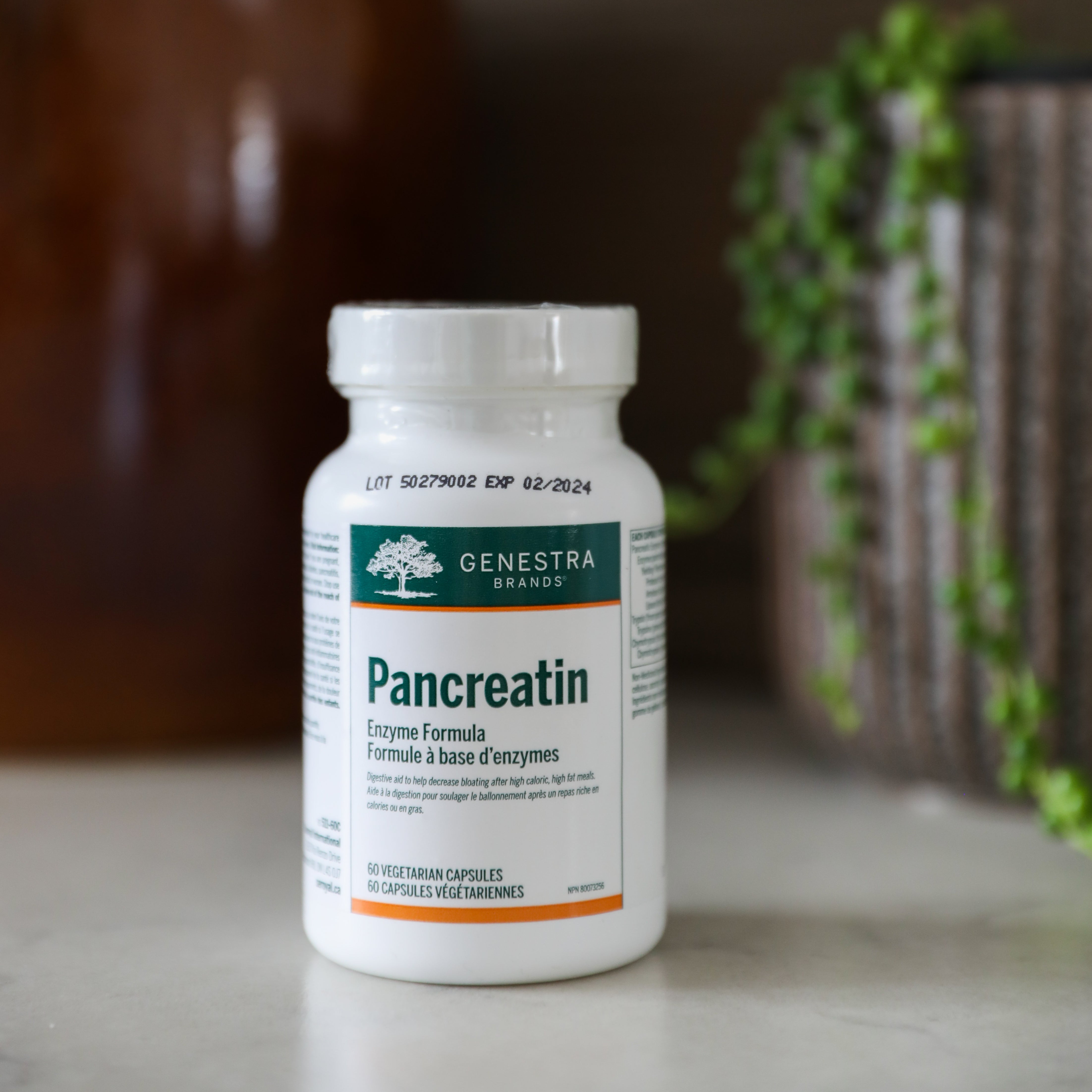 Pancreatin