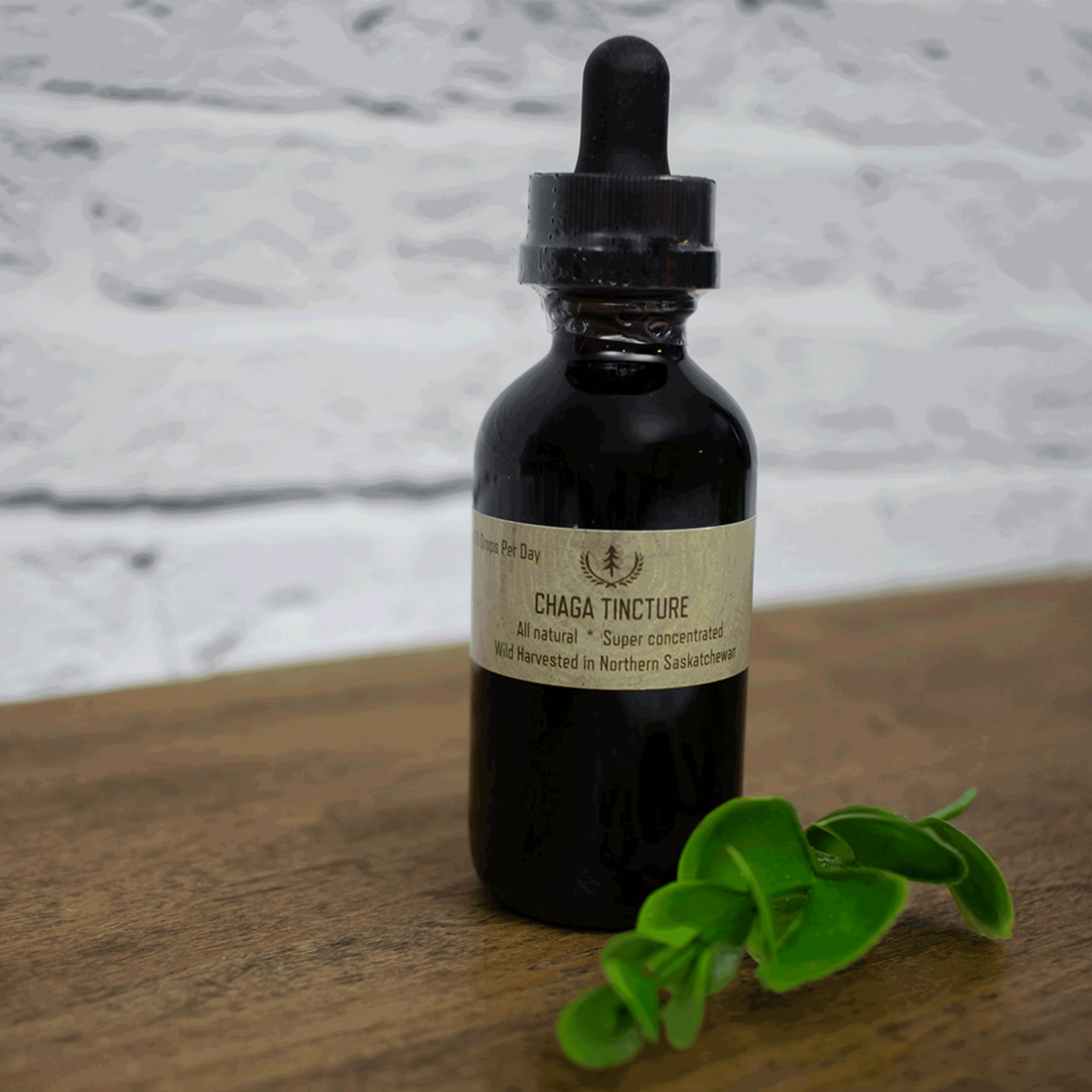 Chaga Tincture